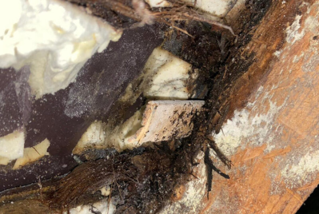 WARNING: Spray foam can lead to refused mortgage applications