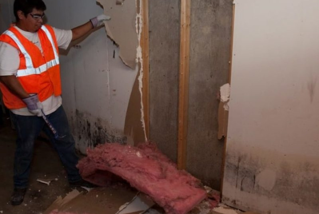 Victims of botched cavity wall insulation ‘ignored’ by government says pressure group