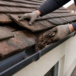 How to Fix Roof Dampness: A Step-by-Step Guide